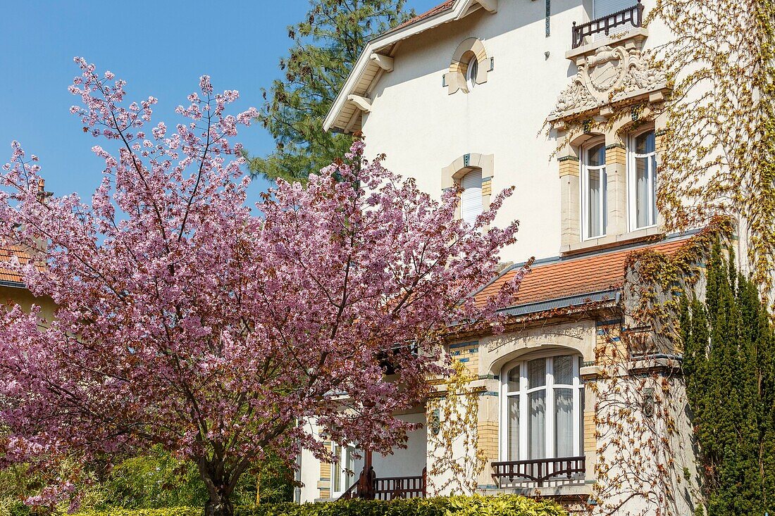 France,Meurthe et Moselle,Nancy,Art Nouveau facade on Brice street in Parc de Saurupt district