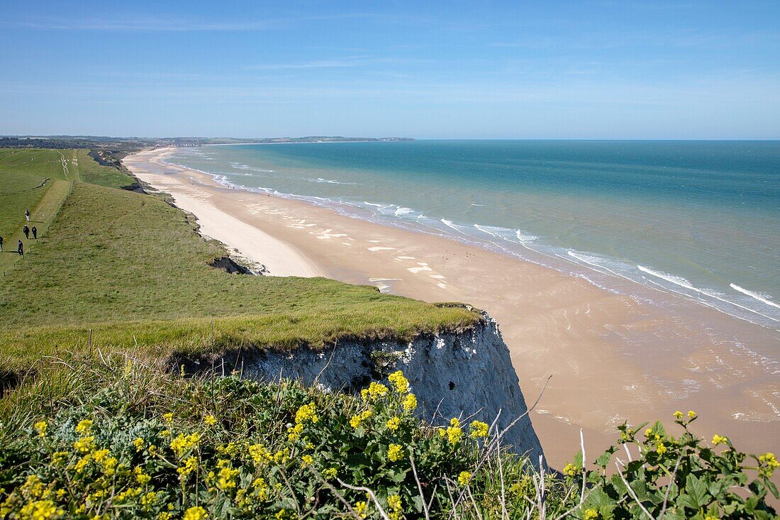 France,Pas de Calais,Cote d'Opale,Parc naturel regional des Caps et Marais d'Opale,Cap Blanc Nez,limestone cliffs