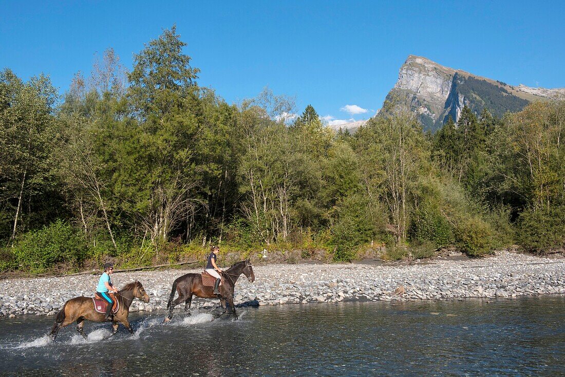 France,Haute Savoie,Samoens,horseback ride on the banks of the Giffre and Aouille du Criou (2192m)