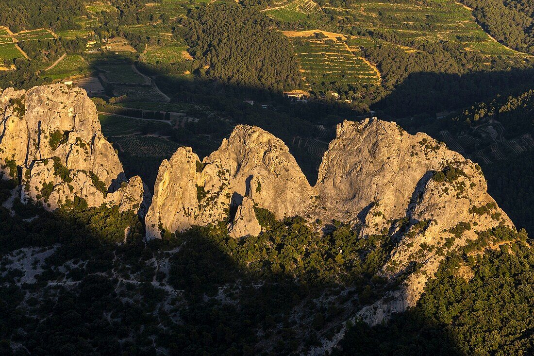 France,Vaucluse,above Gigondas,Dentelles de Montmirail