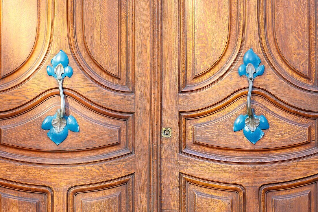 France,Meurthe et Moselle,Nancy,detail of the door of an apartment building in Art Nouveau style