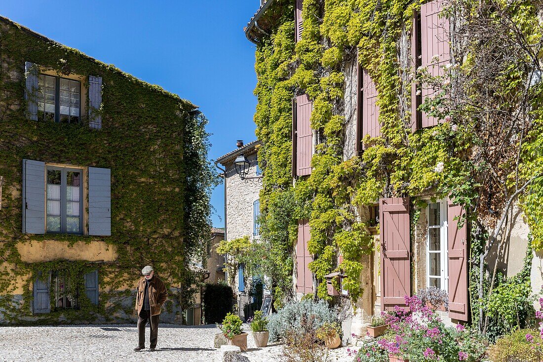 France,Vaucluse,regional natural reserve of Luberon,Saignon,place de la Fontaine