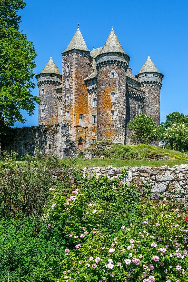 France,Aveyron,Montpeyroux,Bousquet castle near Laguiole