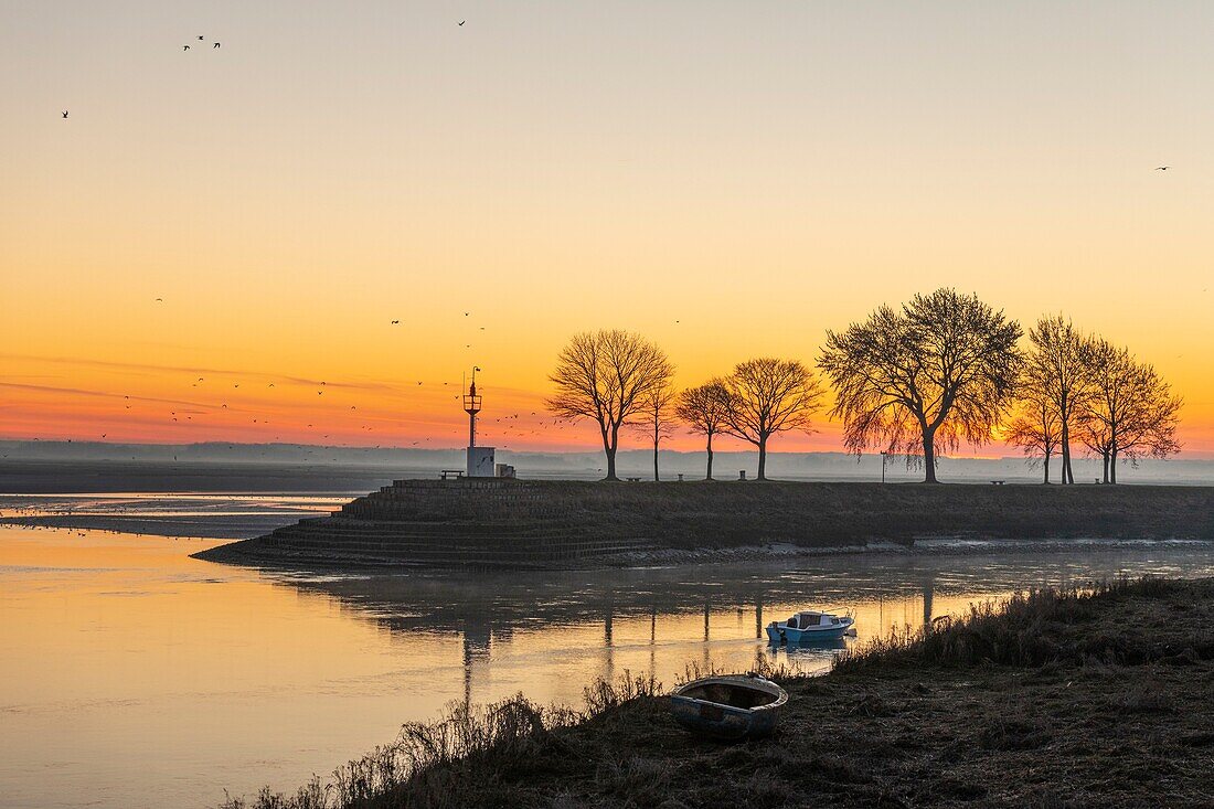 France,Somme,Baie de Somme,Saint-Vaery-sur-Somme,hiver,aube sur la baie depuis les quais de Saint-Valery le long du chenal de la Somme / / France,Somme,Baie de Somme,Dawn on the bay from the quays of Saint-Valery along the channel of the Somme