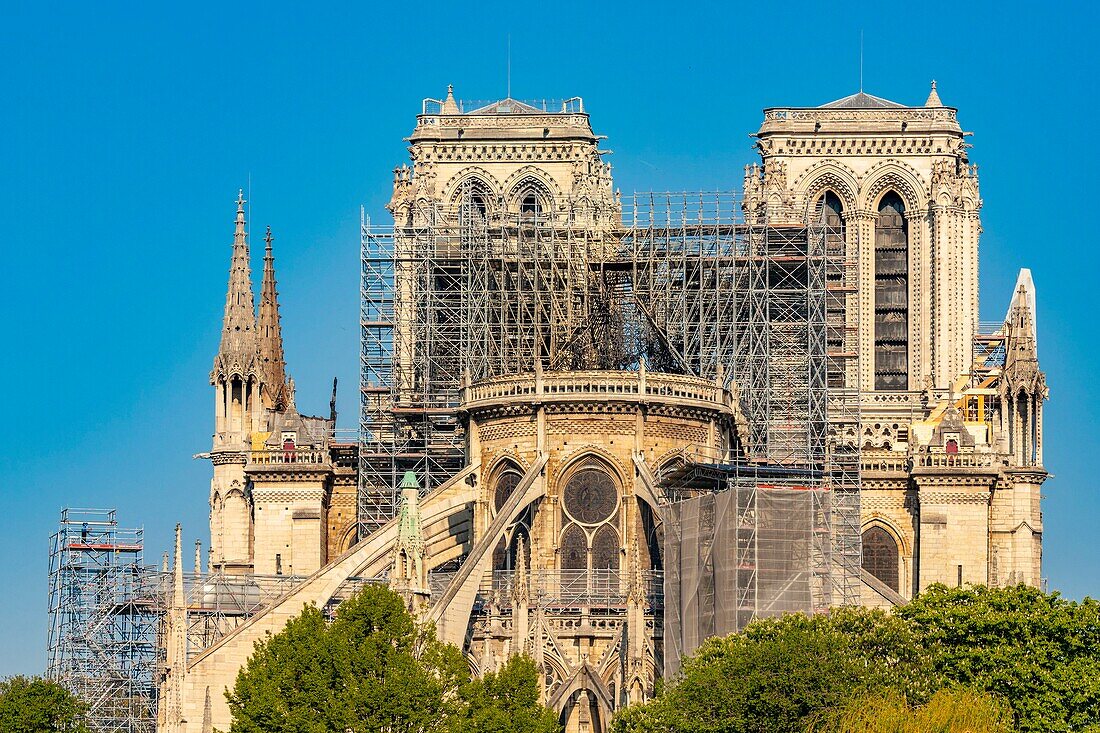 France,Paris,area listed as World heritage by UNESCO,Ile de la Cite,Notre Dame Cathedral,Scaffolding