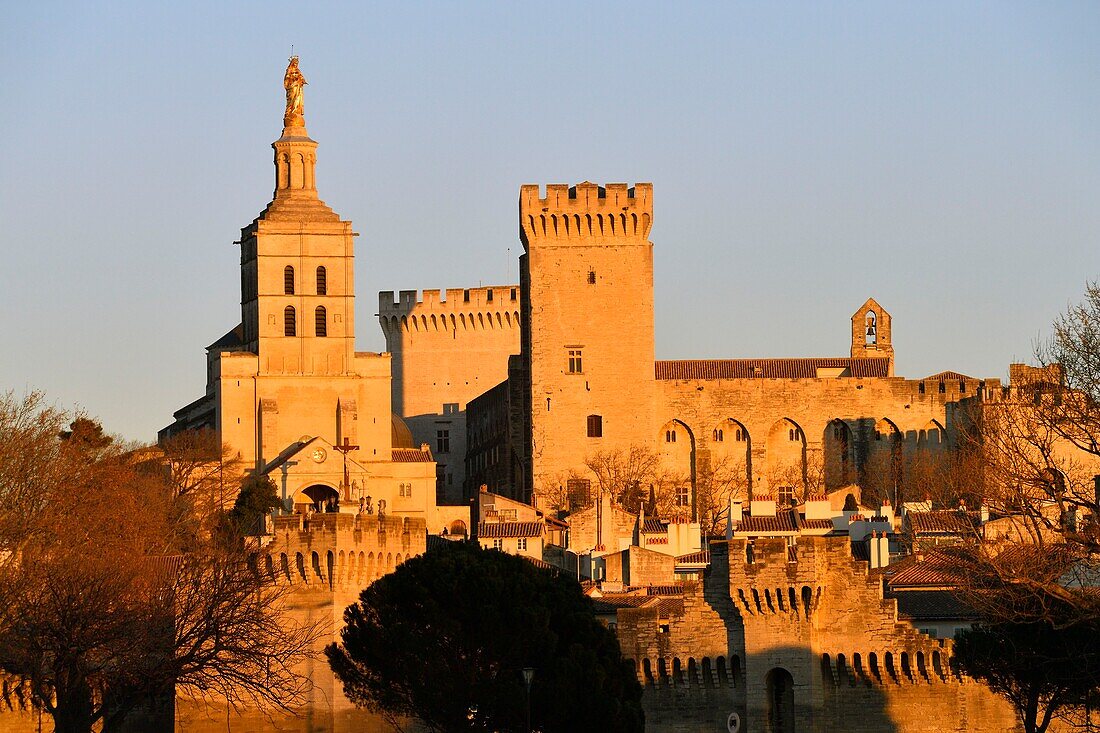 Frankreich,Vaucluse,Avignon,die Kathedrale von Doms aus dem 12. Jahrhundert und der Papstpalast gehören zum UNESCO-Welterbe