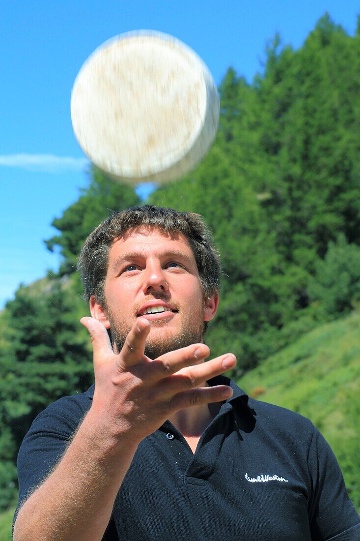 France,Hautes Alpes,Haut Champsaur,Ancelle,breeder (Edouard Pierre) of goats and ewes and his tomme