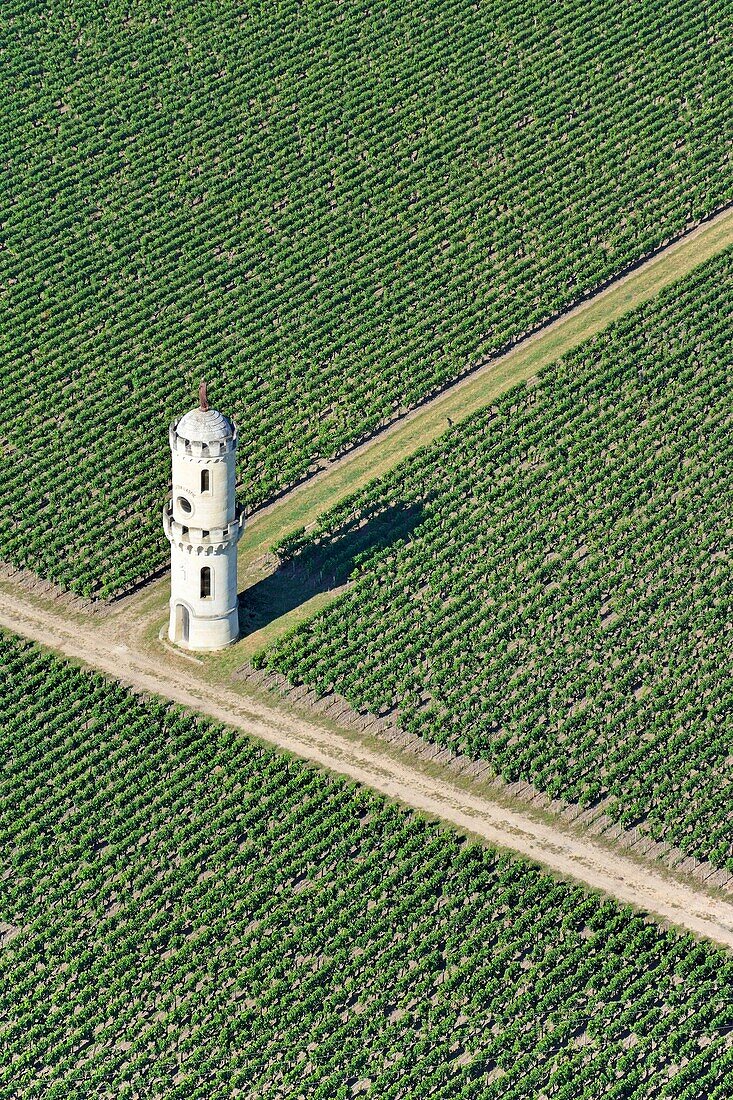 Frankreich,Gironde,Medoc Region,Pauillac,La Laspic Turm,wo Cru Classe Wein hergestellt wird (Luftbild)