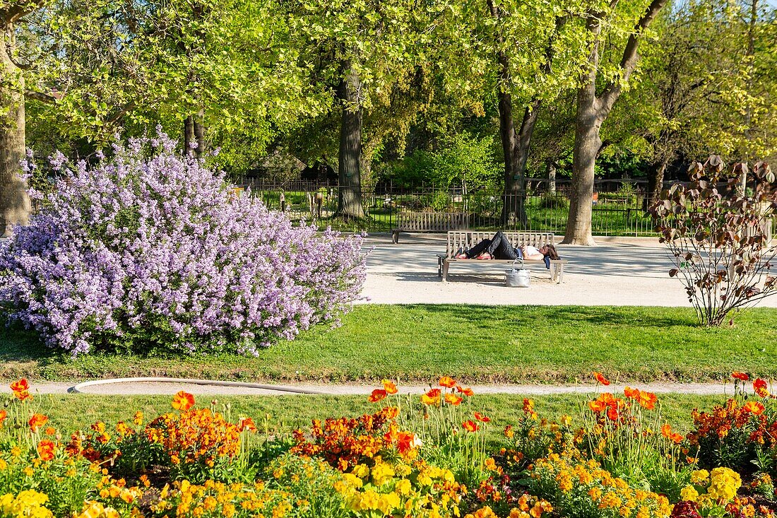 France,Paris,the Garden of Plants