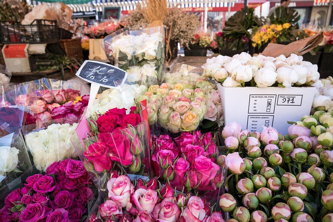 Frankreich,Alpes Maritimes,Nizza,von der UNESCO zum Weltkulturerbe erklärt,Altstadt von Nizza,Cours Saleya Markt,Blumenmarkt