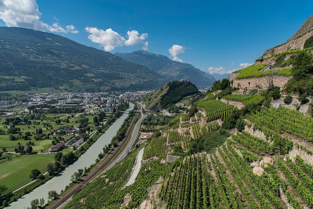 Schweiz,Wallis,Sion,Spaziergang auf der Bisse de Clavau,der terrassierte Weinberg mit Blick auf die Rhone