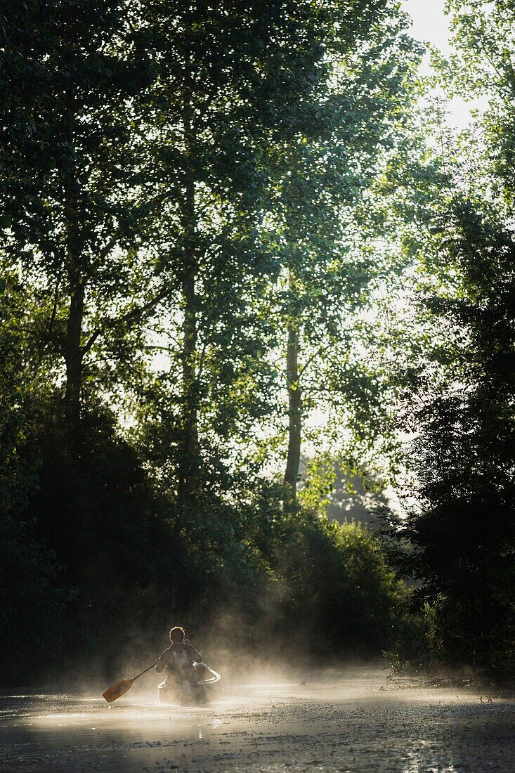 France,Morbihan,La Gacilly,kayaker in the marsh mist at Glenac