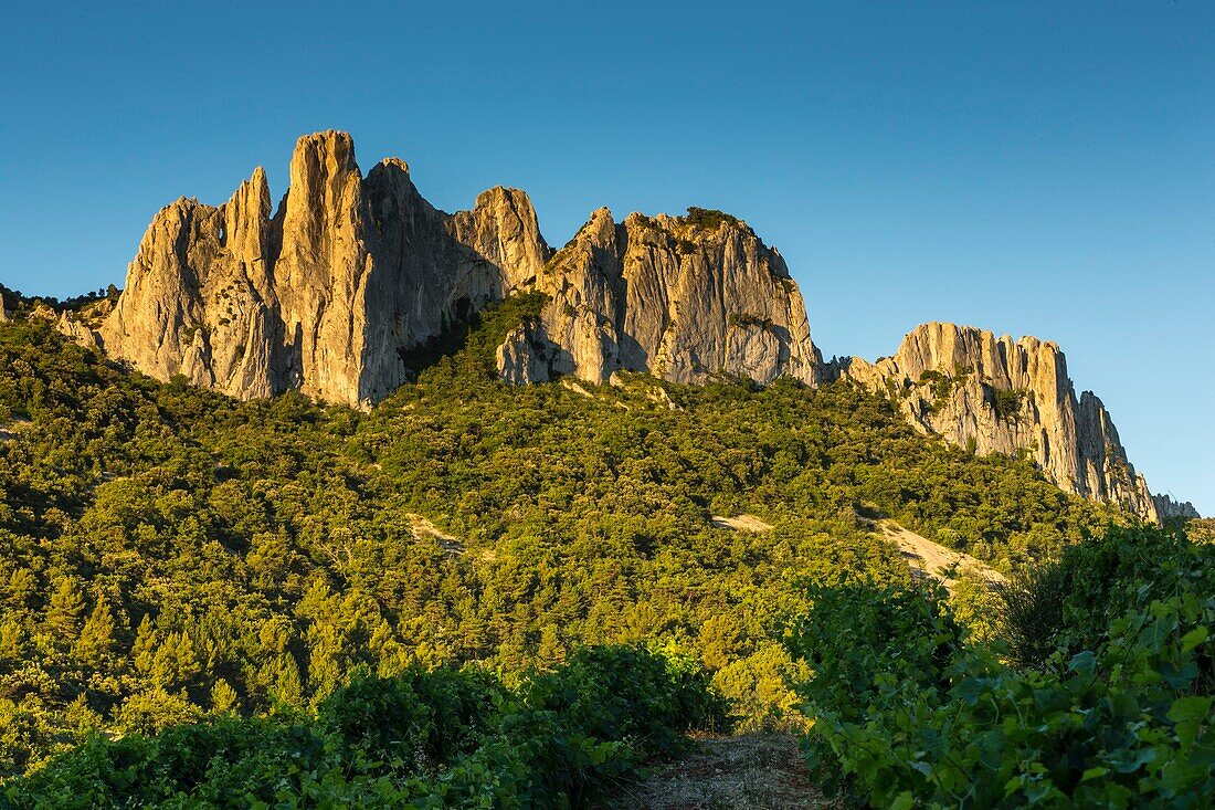 France,Vaucluse,above Gigondas,Dentelles de Montmirail