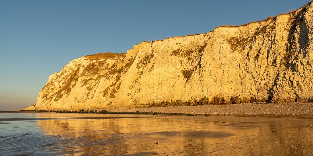 France,Pas de Calais,Opal Coast,Great Site of the two Caps,Escalles,Cap Blanc nez,the beach of Escalles and the cliffs of Cap Blanc Nez