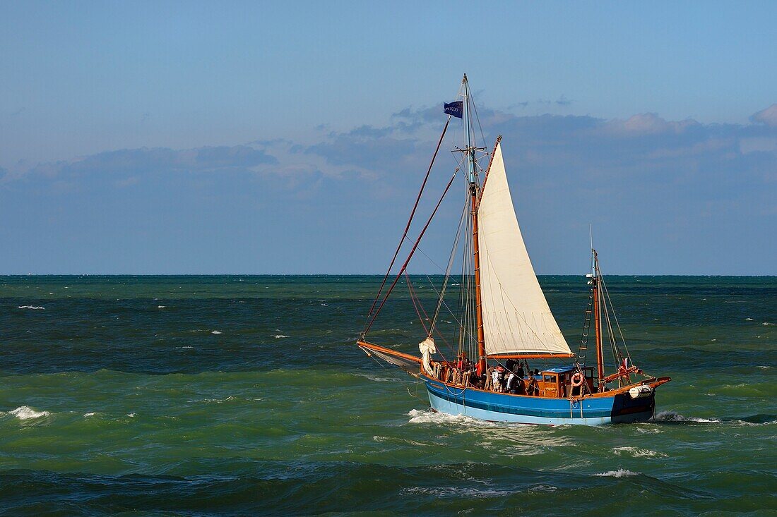 France,Seine Maritime,Pays de Caux,Cote d'Albatre,Fecamp,at sea aboard the old sailing ship Tante Fine