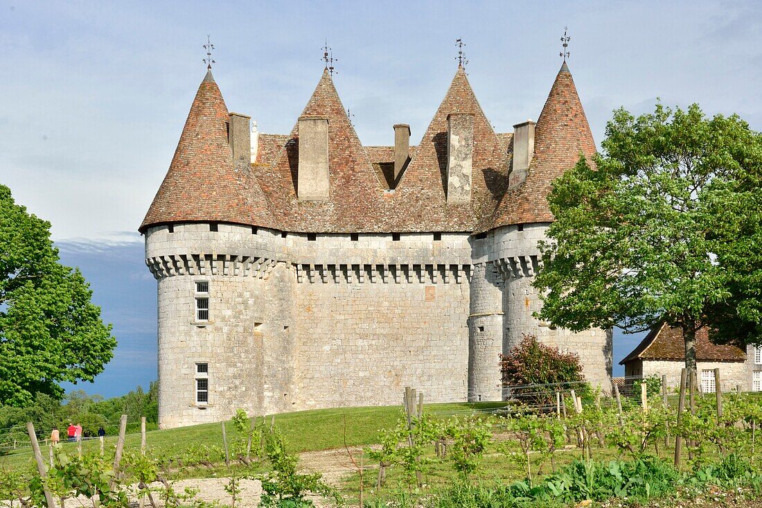 France,Dordogne,Purple Perigord,the castle of Monbazillac where a famous sweet wine is produced