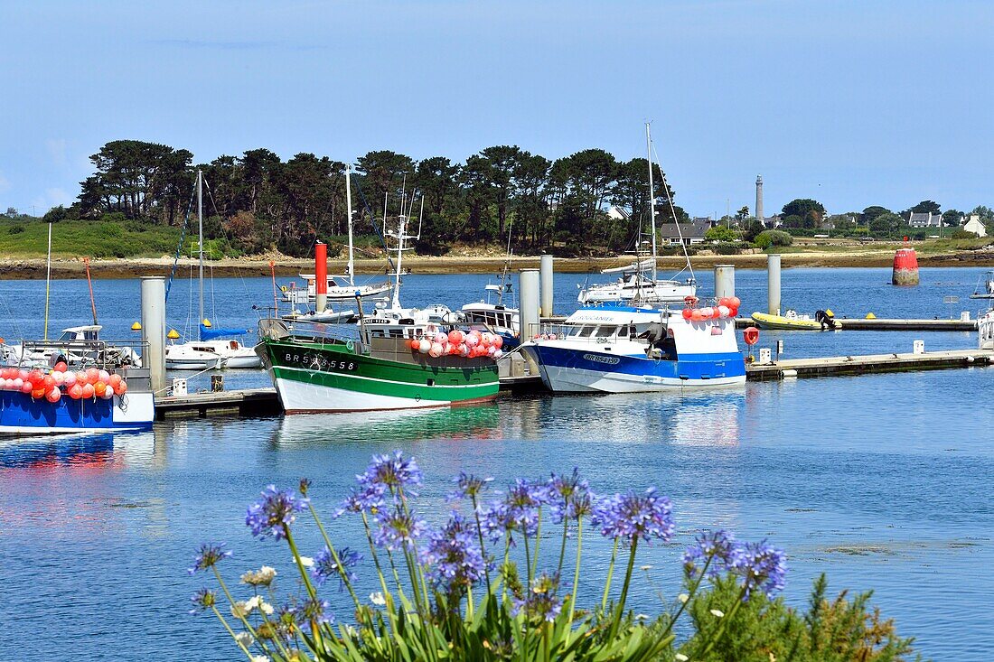 France,Finistere,Pays des Abers,Legends Coast,Plouguerneau,Aber Wrac'h port