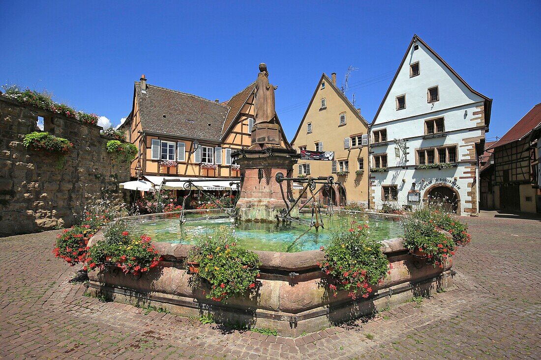 France,Haut Rhin,Route des Vins d'Alsace,Eguisheim,labeled the Most Beautiful Villages of France,Castle Square,the fountain topped by a statue of Pope Leon IX