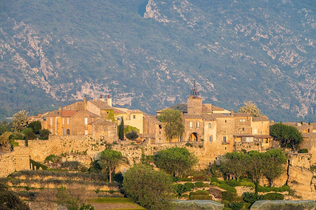 France,Vaucluse,regional natural park of Luberon,Ménerbes,labeled the Most Beautiful Villages of France