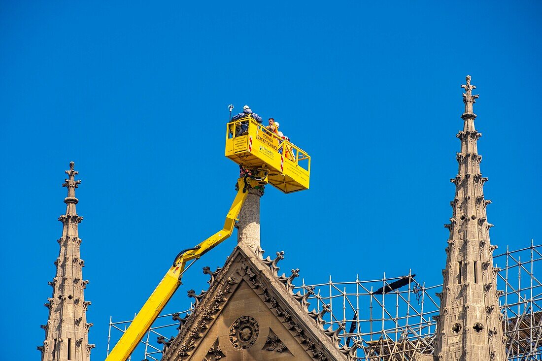France,Paris,area listed as World Heritage by UNESCO,Ile de la Cite,Notre Dame de Paris,consolidation works after the fire of the roof