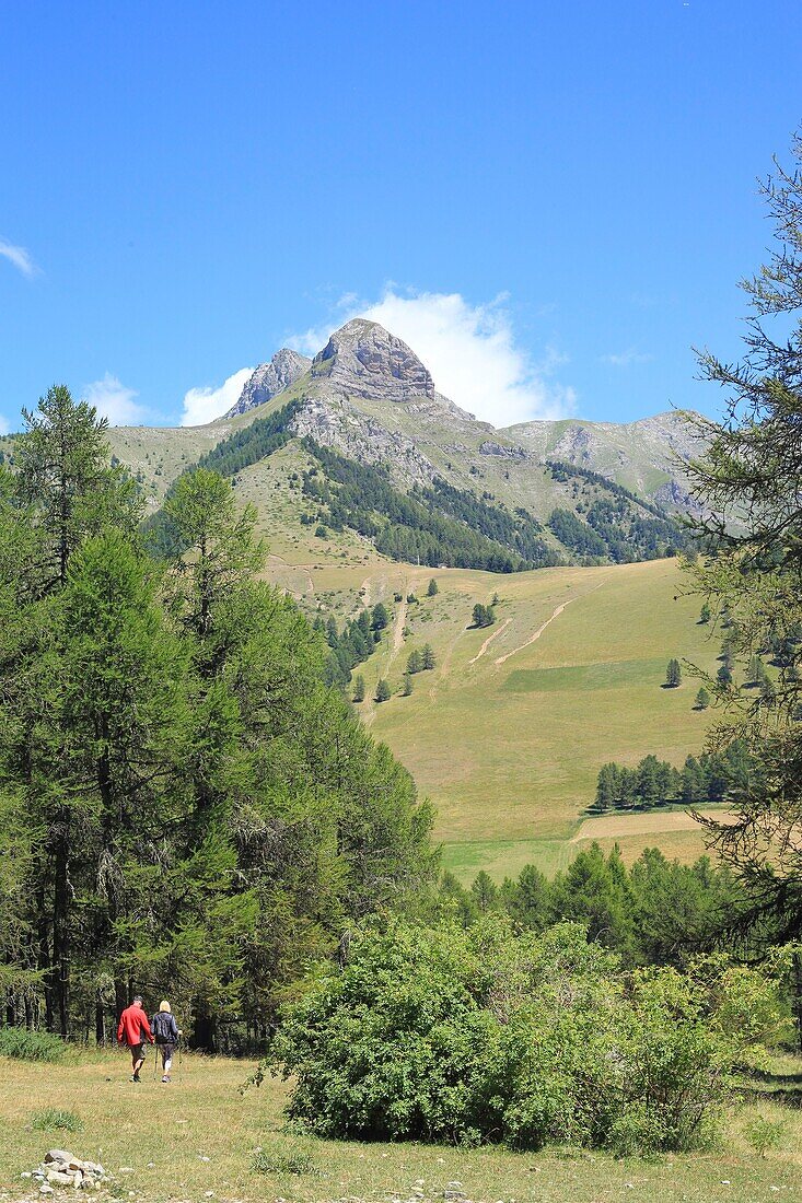 France,Hautes Alpes,Haut Champsaur,Ancelle,couple of hikers