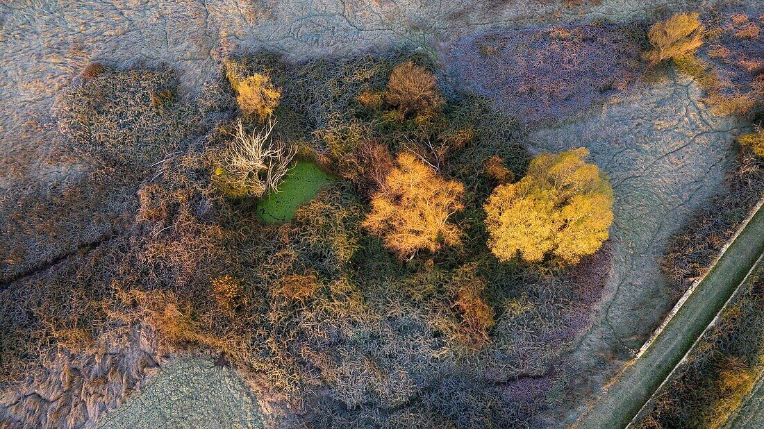 France,Vaucluse,Luberon Regional Nature Park,Cucuron (aerial view)