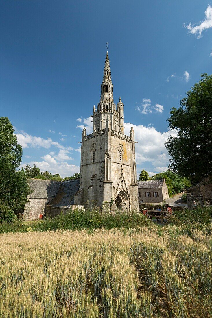 France,Morbihan,Plumeliau,the chapel of Saint-Nicodeme