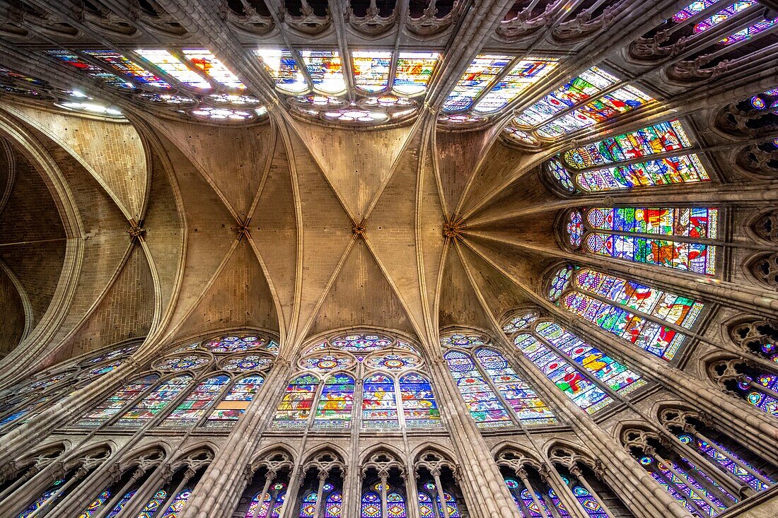 France,Seine Saint Denis,Saint Denis,the cathedral basilica