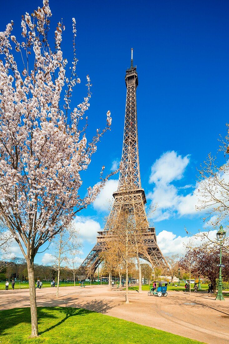 France,Paris,area listed as World Heritage by UNESCO,the Eiffel Tower in spring