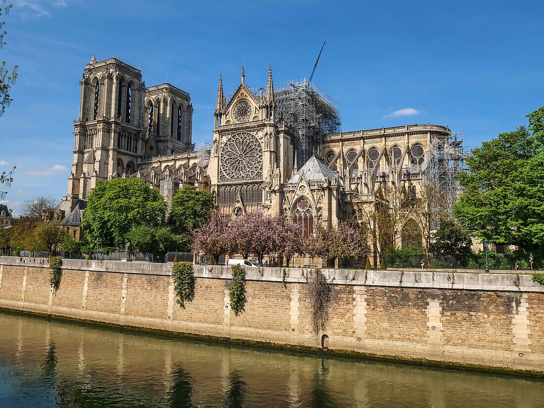 France,Paris (75),World Heritage Site of UNESCO,Notre Dame Cathedral,April 17,2019,2 days after the terrible fire that ravaged the whole frame