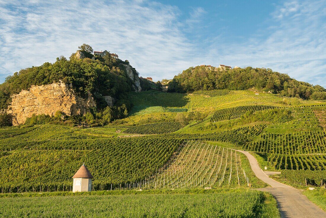 Frankreich,Jura,Chateau Chalon,Weinberge an den Hängen im Westen