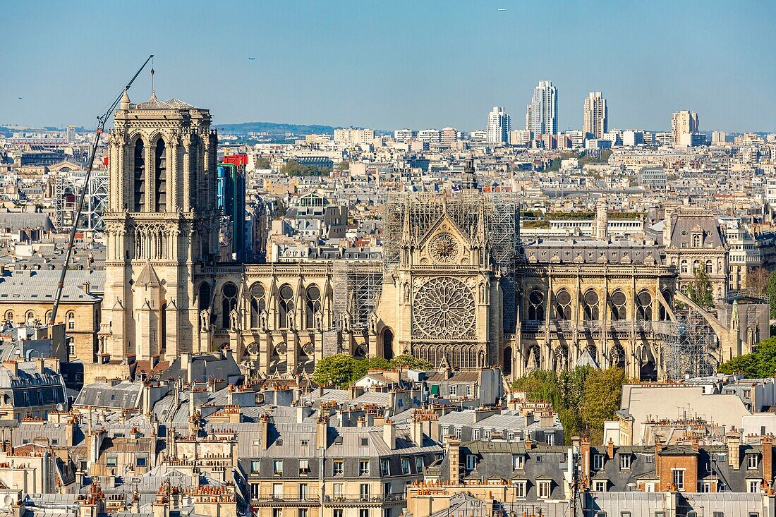 Frankreich,Paris,Weltkulturerbe der UNESCO,Ile de la Cite,Kathedrale Notre Dame