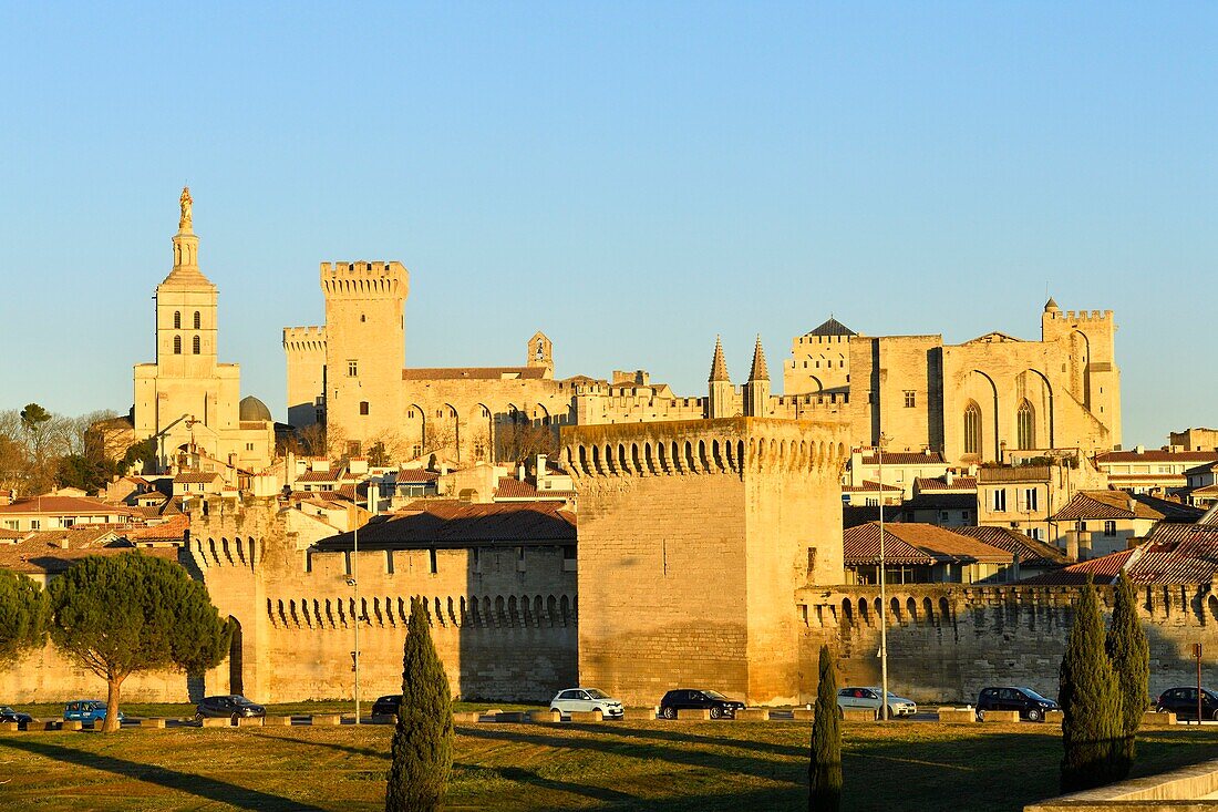 Frankreich,Vaucluse,Avignon,die Kathedrale von Doms aus dem 12. Jahrhundert und der Papstpalast, der zum UNESCO-Welterbe gehört