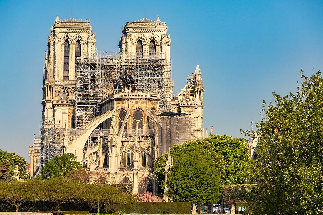Frankreich,Paris,von der UNESCO zum Weltkulturerbe erklärte Gegend,Ile de la Cite,Kathedrale Notre Dame,Gerüst