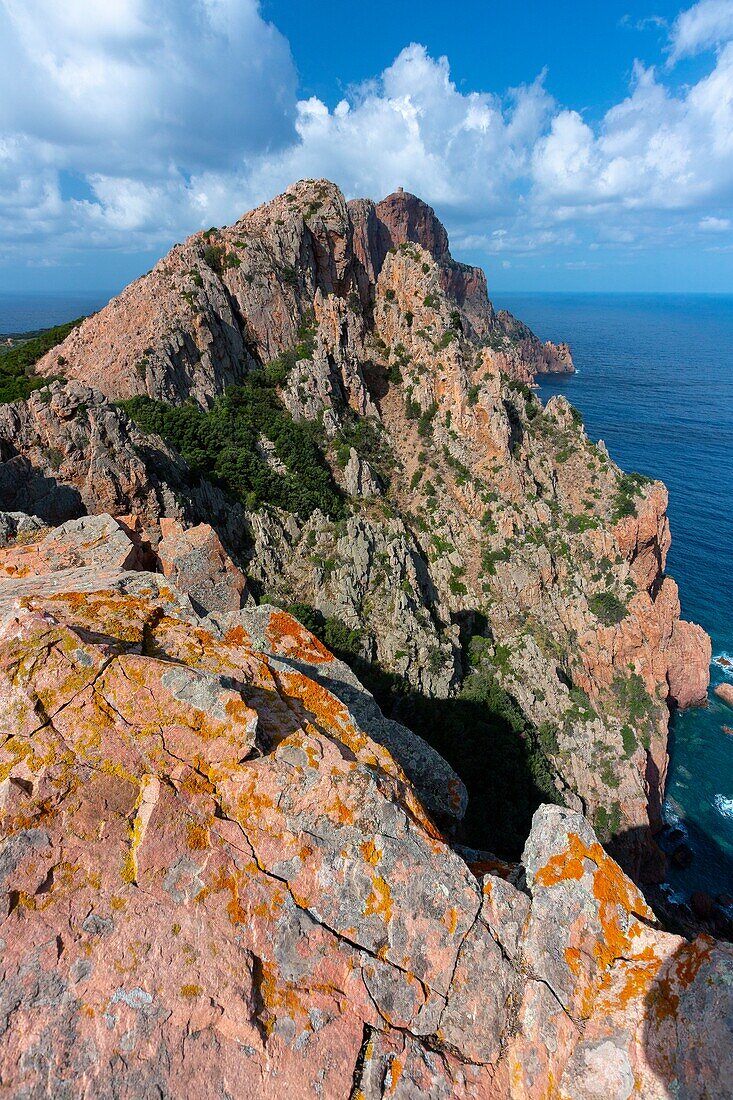 Frankreich,Corse du Sud,Golf von Porto,von der UNESCO zum Weltkulturerbe erklärt,Capo Rosso und der genuesische Turm von Turghiu (Turghio) im Hintergrund