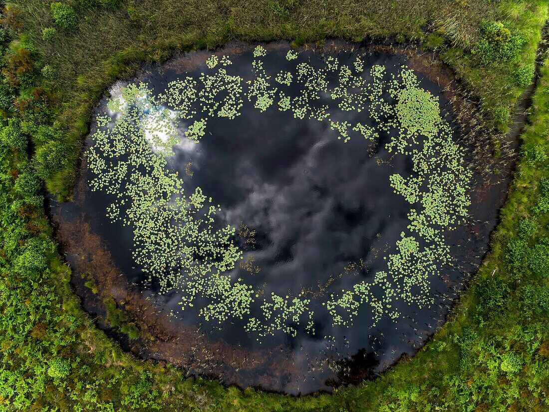 France,Gironde,Val de L'Eyre,Parc Naturel Régional des Landes de Gascogne,the lagoons of Gat Mort,a remnant of the moor of other times (aerial view)