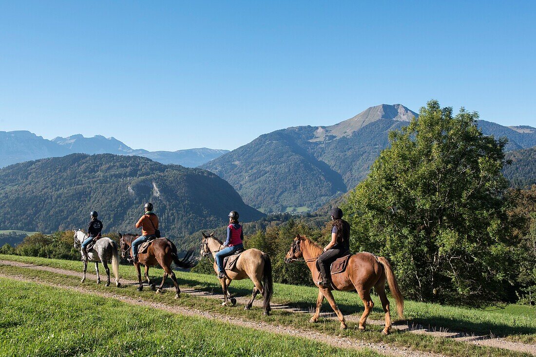 Frankreich,Haute Savoie,Mieussy,Reiten entlang der Giffre von Sommand,Blick auf die Wiesen von Jourdy und den Berg von Mole (1863m)