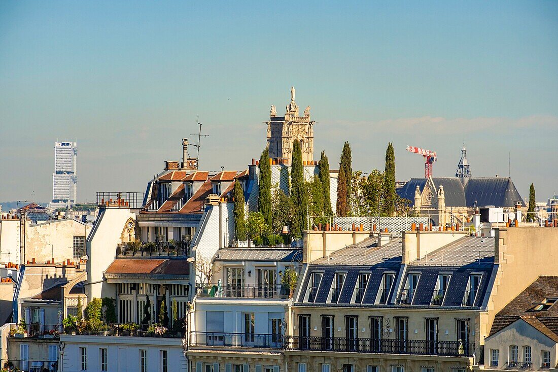 France,Paris,area listed as World Heritage by UNESCO,roof of Paris on the Ile de la Cite