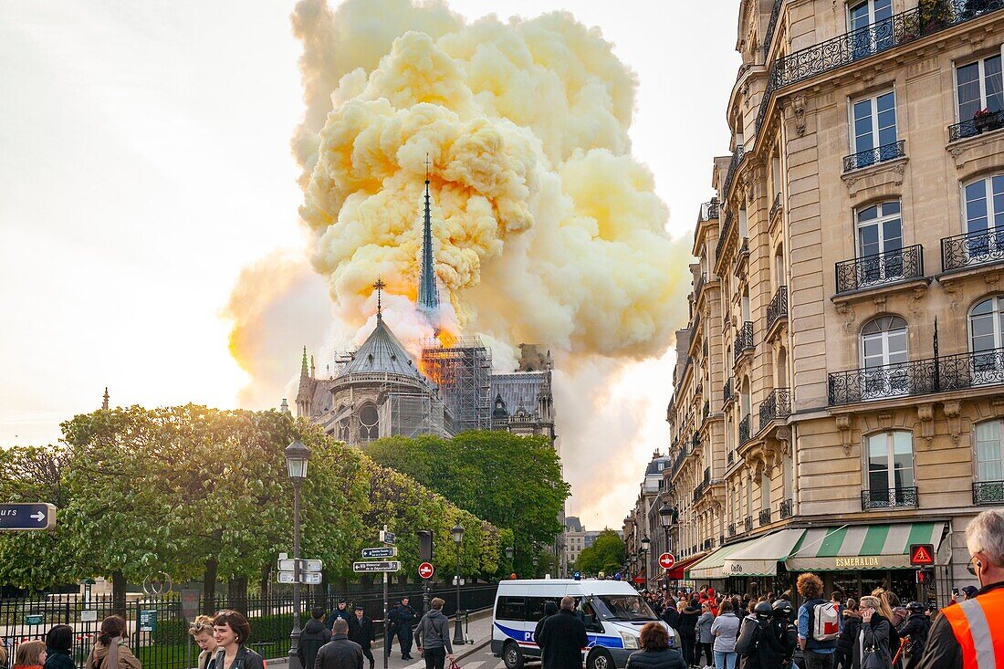 Frankreich,Paris,von der UNESCO zum Weltkulturerbe erklärtes Gebiet,Ile de la Cite,Kathedrale Notre Dame de Paris,Feuer, das die Kathedrale am 15. April 2019 verwüstet hat