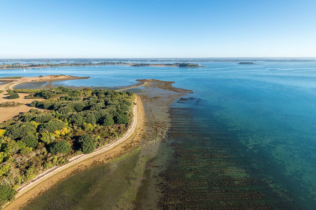 France,Morbihan,Ile-d'Arz,aerial view of the Gulf of Morbihan and the island of Ilur