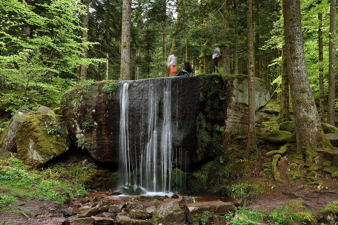 Frankreich,Vogesen,Saint Die des Vosges,Ormont-Massiv,Wald,Wasserfall Molières