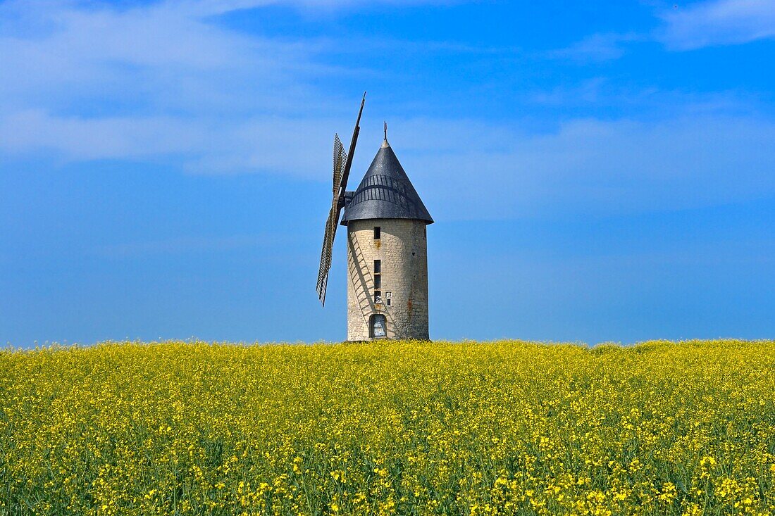 Frankreich,Aisne,Largny-sur-Automne,die Windmühle von Wallu und das Rapsfeld