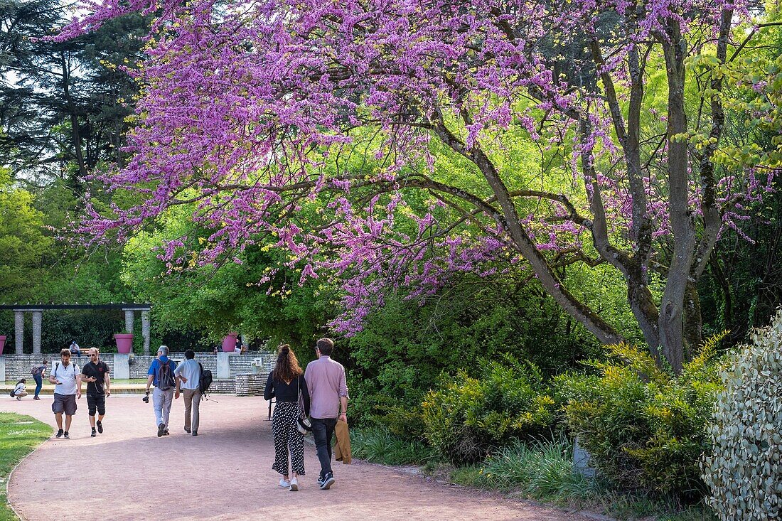 Frankreich,Rhone,Lyon,6. Arrondissement,Parc de la Tête d'Or (Park des Goldenen Kopfes)