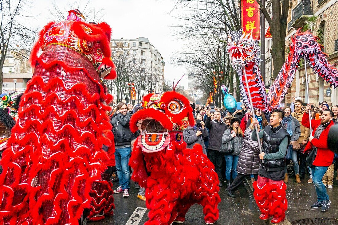 France,Paris,Chinese New Year