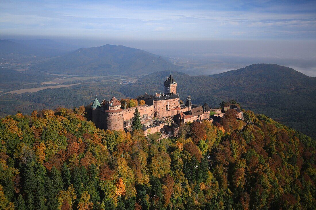 Frankreich,Bas Rhin,das Schloss von Ober-Königsbourg an den Ausläufern der Vogesen und mit Blick auf die Ebene des Elsass,Mittelalterliches Schloss aus dem 12. Jahrhundert,Es ist als historisches Denkmal klassifiziert (Luftaufnahme)