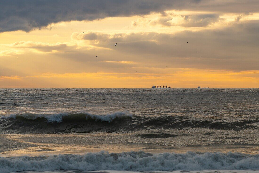 Frankreich,Pas de Calais,Opalküste,Authie-Bucht,Ambleteuse,Passage von Frachtschiffen und Containerschiffen im Kanal bei Sonnenuntergang