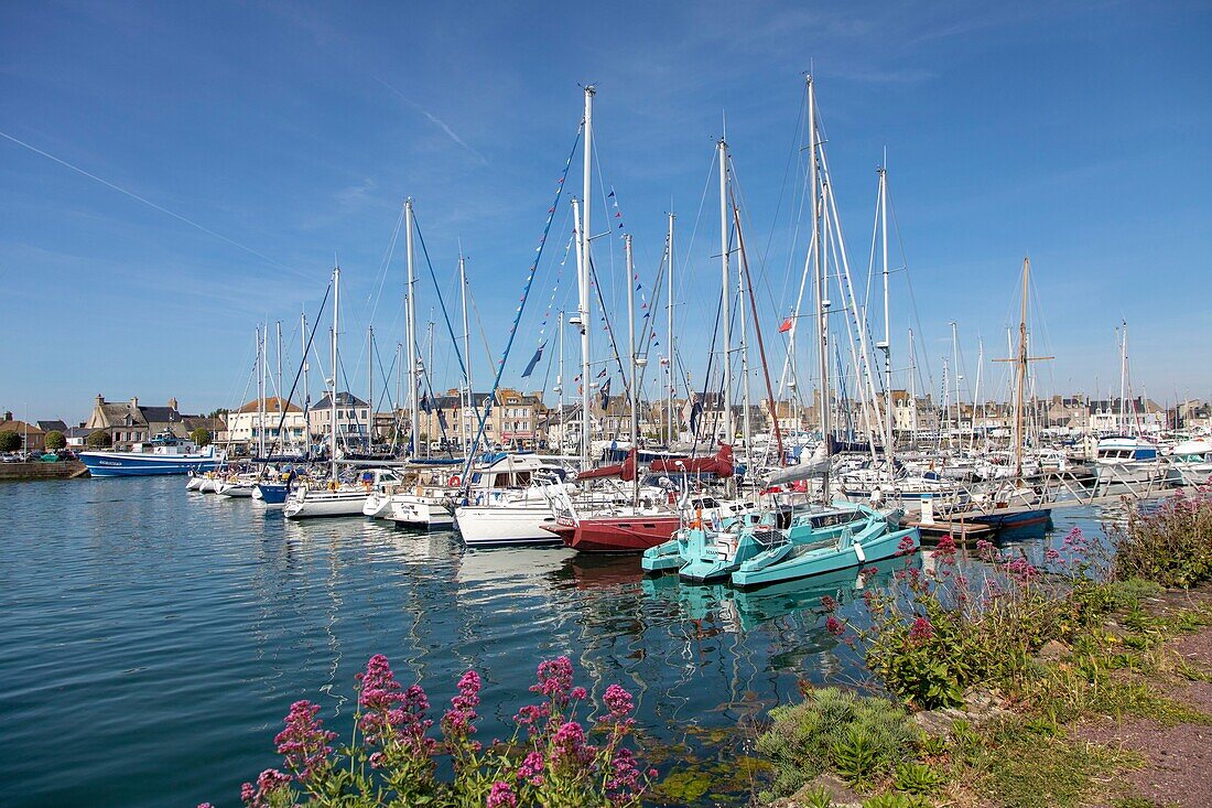 France,Manche,Saint Vaast la Hougue,the port