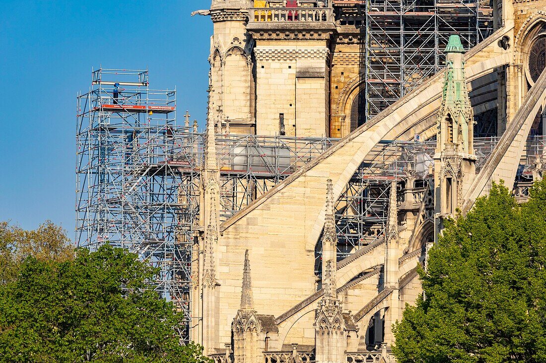 Frankreich,Paris,von der UNESCO zum Weltkulturerbe erklärtes Gebiet,Ile de la Cite,Kathedrale Notre Dame,Gerüst