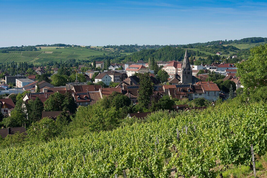 Frankreich,Jura,Gesamtansicht von Poligny, umgeben von Weinbergen