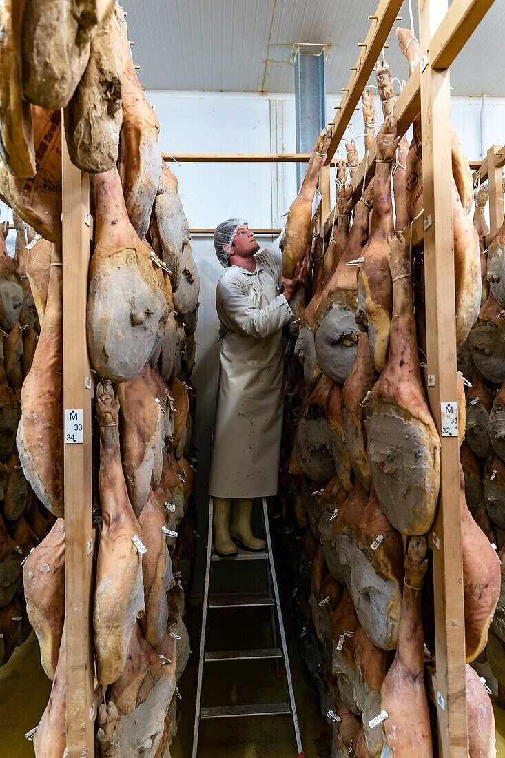 France,Pyrenees Atlantiques,Basque country,Pierre Oteiza,breeder and artisan in the Aldudes Valley,the ham dryer